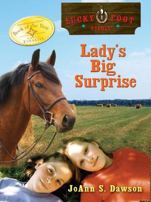 cover image of Lady's Big Surprise